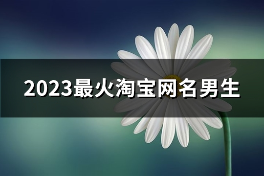 2023最火淘宝网名男生(精选643个)