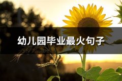 幼儿园毕业最火句子(实用71句)