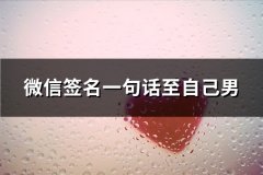 微信签名一句话至自己男(精选127句)